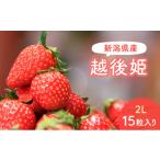 ふるさと納税 いちご 新潟県 新潟市  予約受注 2026年2月下旬より発送　新潟県産越後姫2L　15粒入り