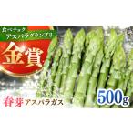 野菜類 アスパラガス 2027年6月~発送