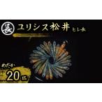 生き物 忘却の翼 オス メス ランダム 20 匹