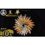 生き物 王華 10匹
