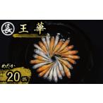 生き物 129-25 王華 オス メス ランダム20匹