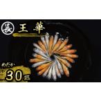 生き物 129-24 王華 オス メス ランダム30匹