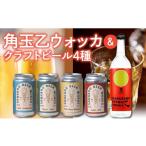 お酒 リキュール 角玉乙ウォッカ720ml