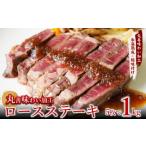 ふるさと納税 牛肉 ロース 大阪府 泉佐野市 牛肉 ロースステーキ 合計1kg(約200g×5枚) 氷温熟成×極味付け 牛肉 訳あり 不揃い 焼肉 BBQ