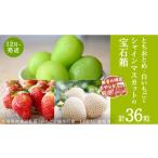 粒々いちご36粒 とちおとめと白いちごとシャインマスカット…