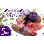 野菜類 サツマイモ 自然栽培 ふくむらさき 5kg