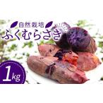 泉田里芋 土付き サイズ1kg 2kg