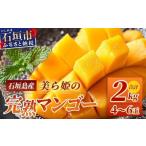 ショッピングふるさと納税 マンゴー ふるさと納税 マンゴー 沖縄県 石垣市 ［予約受付］美ら姫マンゴー2kg（完熟・アーウィン種） 2026年7月中旬〜順次発送 産地直送 沖縄県 石垣市 マンゴー フル…