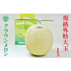 ふるさと納税 メロン 静岡県 掛川市 クラウンメロン(規格外大玉) 1玉 1486579
