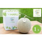 ふるさと納税 メロン メロン赤肉 北海道 富良野市  2026年発送 ふらのメロン「陽 〜HARU〜」大玉(2.3kg以上)×1玉　(赤肉)富良野メロン 1478649