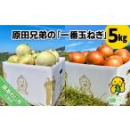 ショッピングふるさと納税 玉ねぎ ふるさと納税 野菜類 玉ねぎ 兵庫県 南あわじ市 原田兄弟の一番玉ねぎ　５kg