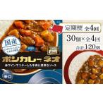 加工品等 レトルト 定期便 全4回 ボンカレーネオ