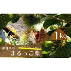 ふるさと納税 高知県 佐川町 【ふるさと納税限定】夢甘栗 まるっこ栗 秀品 高級生栗 約1kg 地栗 1つのイガに1粒 仁淀川流域夢甘栗生産者組合 秋の味覚 和栗 ＜…