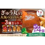 牛肉 ハンバーグ 3回定期便 メディア紹介多数
