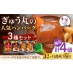 牛肉 ハンバーグ 12回定期便 メディア紹介多数