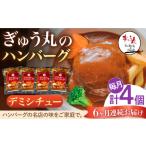 牛肉 ハンバーグ 6回定期便 メディア紹介多数