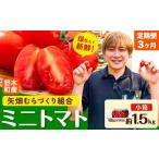 ミニトマト 約1.5kg