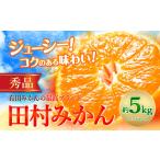 果物類 みかん 秀品 5kg