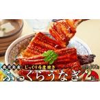 ふるさと納税 うなぎ 鹿児島県 大崎町 うなぎ 蒲焼 200g×2尾 鹿児島産 地下水で育てた絶品鰻