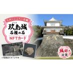 イベントやチケット等 玖島城石垣の石 NFT