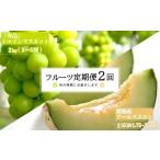 ふるさと納税 メロン 山形県 長井市 2025年8月〜10月発送分先行受付 定期便2回 山形旬の果物2選(メロン/シャインマスカット)_H182(R7)