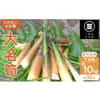 山菜 きのこ 2027年お届け 大名筍 10kg