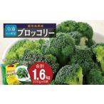 野菜類 冷凍ブロッコリー 200g×8パック