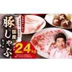 ふるさと納税 豚肉 モモ 大阪府 泉佐野市 国産 豚しゃぶ セット 2.4kg(ももスライス/肩ローススライス) 氷温熟成×極味付け 豚肉 小分け 普段使い 野菜炒め…
