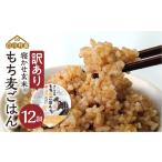 加工品等 レトルト 白川郷 寝かせ玄米 もち麦ごはん