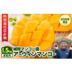 ふるさと納税 マンゴー 沖縄県 南風原町  2026年発送 城間マンゴー園　家庭用　アーウィンマンゴー1.5kg　特別栽培農産物