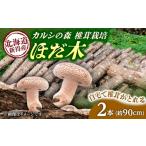 fu.... налог овощи вид .. . Hokkaido новый выгода блок . дерево .... культивирование древесина 2 шт |. такой же фирма karusiBNAU004 огород .. шиитаке ....shiitake.. . овощи...