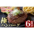 ショッピングふるさと納税 ハンバーグ ふるさと納税 肉 ハンバーグ 鹿児島県 姶良市 a940 生食感ハンバーグ やまさきの焼肉A5ランク極ハンバーグ150g×6袋(合計900g) やまさき 国産 肉 牛 牛肉 総菜…