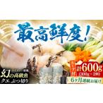 魚貝類 全6回定期便 対馬産 クエ ぶつ切り 600g