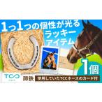 インテリア 競馬 TCCホースシュー 世界に一つだけの蹄鉄