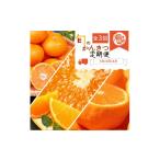 みかん 柑橘類 定期便 全3回 紀州和歌山産