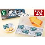 焼菓子 チョコレート クッキー 1ヶ月毎2回定期便