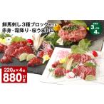 ふるさと納税 馬肉 熊本県 高森町  3ヶ月毎4回定期便 鮮馬刺し 3種ブロックセット 赤身・霜降り・桜うまトロ
