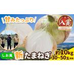 ふるさと納税 岡山県 笠岡市 しお風新たまねぎ 約10kg《5月下旬-6月上旬頃出荷(土日祝除く)》 玉ねぎ 新たまねぎ 野菜 青果物 岡山県 笠岡市