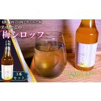 果汁飲料 心安らぐふるさとの味 懐かしい甘酸っぱさの