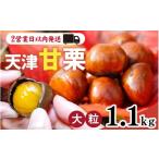 fu.... налог фрукты вид каштан Hyogo префектура - небо Цу сладкие каштаны 1.1kg | каштан сладкие каштаны небо Цу сладкие каштаны новый каштан 