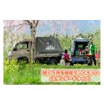 カー用品 バグトラック 軽トラ用多機能テントキット