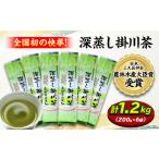 お茶類 緑茶 茶葉 ティーバッグ 全国初の快挙
