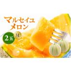 ふるさと納税 福井県 坂井市 【先行予約】三里浜マルセイユメロン 3Lサイズ × 2玉 【2024年6月下旬以降順次発送予定】 【メロン めろん フルーツ 期間限定 数…