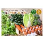 fu.... налог комплект *... Chiba префектура юг . общий город 12 месяц отправка пестициды * химия удобрение ... нет сельское хозяйство дом. овощи (7~10 вид ). flat . иметь . яйцо. комплект mi0036-0017-12 овощи яйцо ....