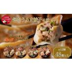 惣菜 レトルト 冷凍 包むうるま餃子 4種セット