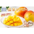 ショッピングふるさと納税 マンゴー ふるさと納税 マンゴー 鹿児島県 垂水市 B2-22137／ 訳あり品 鹿児島産 温泉マンゴー 2kg 期間限定 2026年夏発送