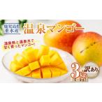 ショッピングふるさと納税 マンゴー ふるさと納税 マンゴー 鹿児島県 垂水市 C3-22143／ 訳あり品 鹿児島産 温泉マンゴー 3kg 期間限定 2026年夏発送