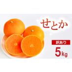 ふるさと納税 みかん・柑橘類 愛媛県 愛南町  訳あり せとか 5kg 柑橘 みかん 蜜柑 フルーツ 人気 甘い ジューシー 産地直送 国産 農家直送 期間限定 数量限定…