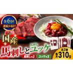 馬肉 6回定期便 馬刺し と ユッケのセット