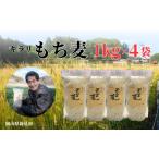 米 令和8年産 2026年産 キラリもち麦 約4kg